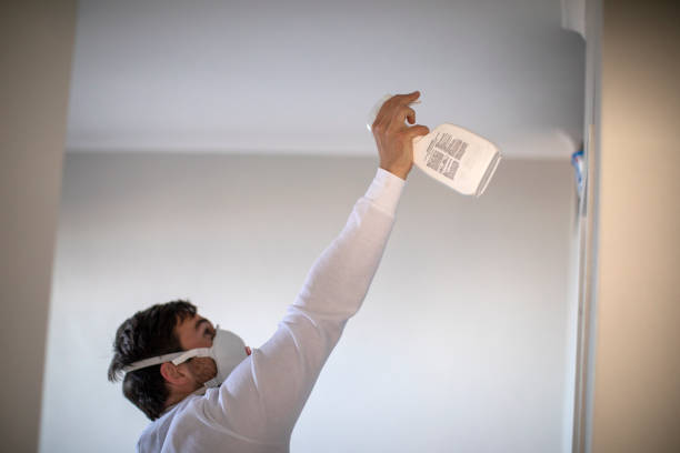 Best Water Damage Restoration  in Vineyard Haven, MA