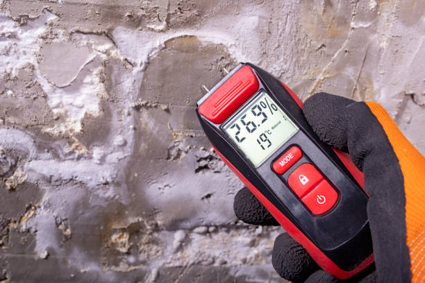 Best Black Mold Removal  in Vineyard Haven, MA